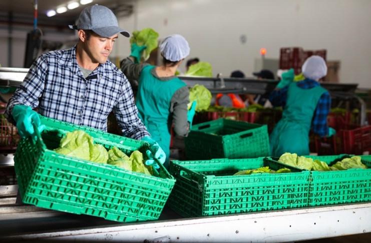 PIB regional, perfiles departamentales y encuestas: las herramientas para planificar la economía de Guatemala El desarrollo rural es impulsado por medidas conjuntas entre Gobierno y sector privado. Foro La Hora: Shutterstock