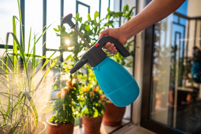 Los plaguicidas caseros pueden ser una herramienta bastante útil para proteger las plantas en casa. Foto: DimaBerlin / Shutterstock.