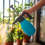 Los plaguicidas caseros pueden ser una herramienta bastante útil para proteger las plantas en casa. Foto: DimaBerlin / Shutterstock.