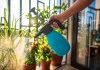 Los plaguicidas caseros pueden ser una herramienta bastante útil para proteger las plantas en casa. Foto: DimaBerlin / Shutterstock.