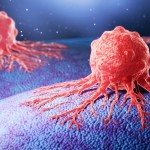 Las células cancerígenas se vuelven más agresivas cuando falta oxígeno, según el estudio. Foto: Anusorn Nakdee / Shutterstock.