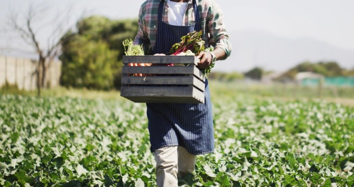 Algunos productos agrícolas no tradicionales tienen el 10% de arancel para ingresar a EE. UU. Foto La Hora: Shutterstock
