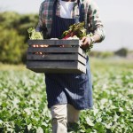 Algunos productos agrícolas no tradicionales tienen el 10% de arancel para ingresar a EE. UU. Foto La Hora: Shutterstock