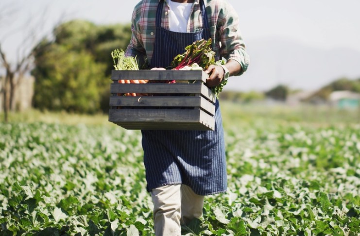 Algunos productos agrícolas no tradicionales tienen el 10% de arancel para ingresar a EE. UU. Foto La Hora: Shutterstock