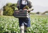 Algunos productos agrícolas no tradicionales tienen el 10% de arancel para ingresar a EE. UU. Foto La Hora: Shutterstock