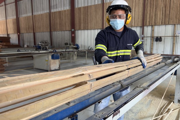El bamb&uacute; que se transforma en tablas, muebles y una nueva oportunidad para productores. Foto La Hora: Jose Orozco.