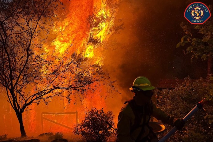 EE.UU. en máximo nivel de alerta por incendios forestales ante 94 grandes focos activos Archivo de un bombero combatiendo un incendio forestal en EE. UU. Foto La Hora: EFE