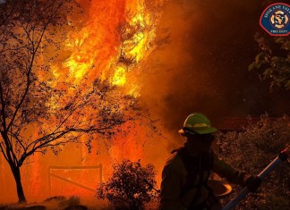 EE. UU. en máximo nivel de alerta por incendios forestales ante 94 grandes focos activos Archivo de un bombero combatiendo un incendio forestal en EE. UU. Foto La Hora: EFE