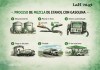 La gasolina regular cambia desde este sábado con la llegada del E10.
