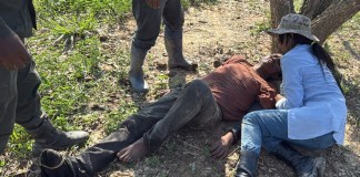 Fotografía cedida por la Fiscalía General del Estado de Bolivia, que muestra el operativo de rescate del fiscal departamental de Beni, Alexander Mendoza (c), quien fue encontrado con vida después de sufrir un accidente aéreo la semana pasada, después de que la avioneta. Foto La Hora: EFE
