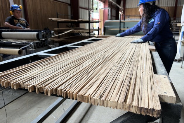 El bamb&uacute; que se transforma en tablas, muebles y una nueva oportunidad para productores. Foto La Hora: Jose Orozco.