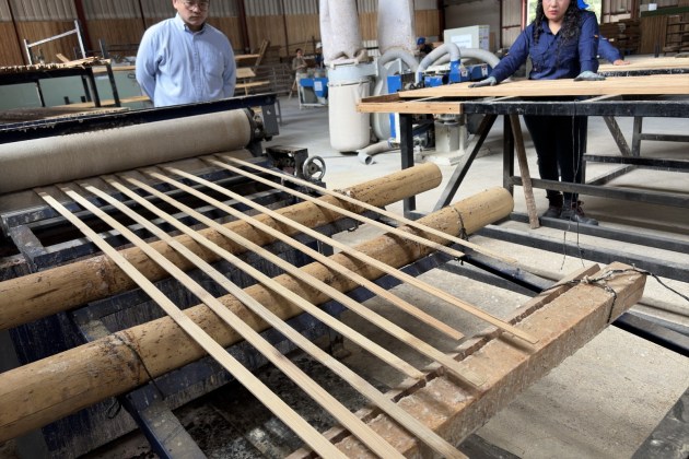 El bamb&uacute; que se transforma en tablas, muebles y una nueva oportunidad para productores. Foto La Hora: Jose Orozco.