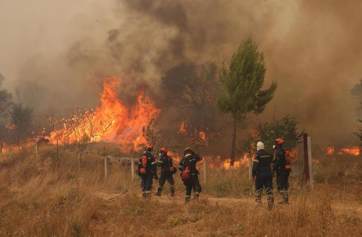 Tragedia aérea en Grecia: dos fallecidos tras choque de helicópteros que combatían incendio Dos muertos y dos heridos al chocar dos helicópteros antiincendios en Grecia, según medios