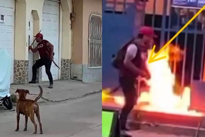 Artes LH (1) Hombre detenido por ataque contra sede del MP e intento de incendio en venta de gas propano. Foto La Hora: PNC.