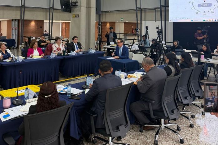 OEA presentó una serie de recomendaciones a la Comisión de Postulación encargada de elegir al próximo Contralor General de Cuentas. Foto La Hora: OEA.