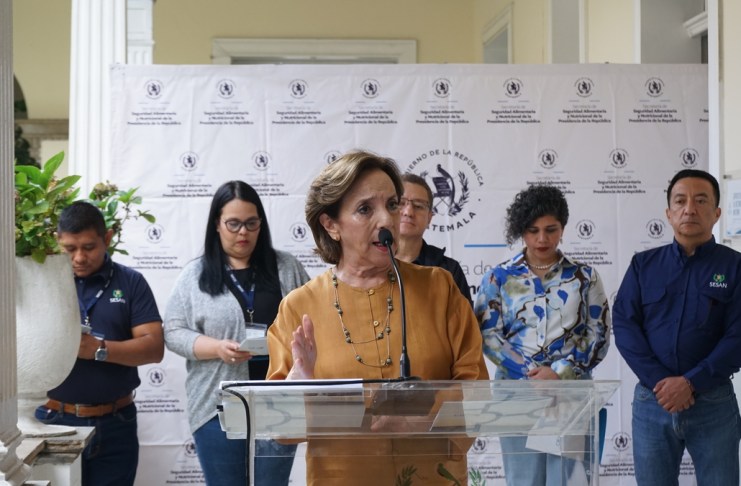 ¿Qué impacto ha tenido la estrategia Mano a Mano? SESAN medirá cambios en hogares y nutrición SESAN dará inicio en 2027 a una evaluación de mejoras en hogares y nutrición que el programa "Mano a Mano" ha generado.