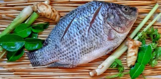 El camarón y la tilapia tienen su propia iniciativa de ley esto dice la propuesta