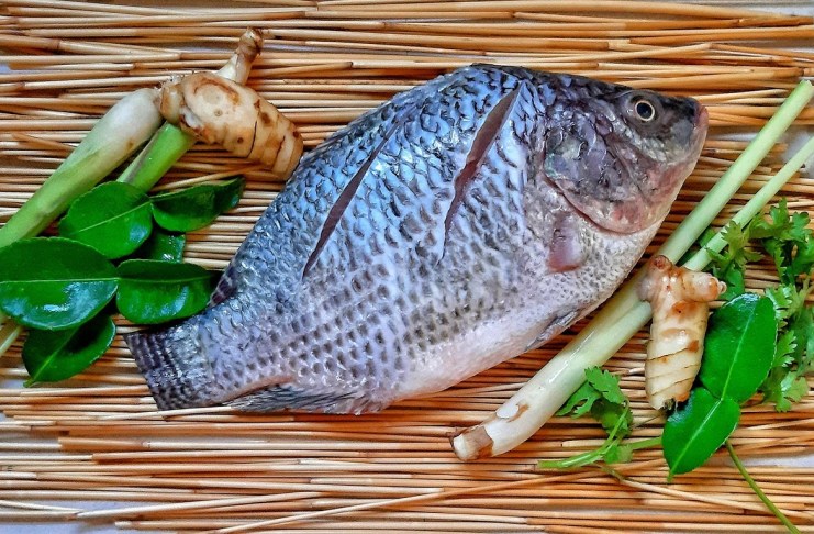 El camarón y la tilapia tienen su propia iniciativa de ley esto dice la propuesta
