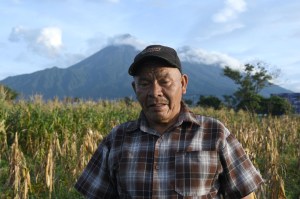 Emilio Barrillas, habitante de las faldas del volcán de Fuego, regresa a sus cultivos para verificar que las explosiones del volcán no causaran daños a su cosecha de maíz. Foto La Hora: EFE/ Alex Cruz.