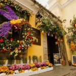 Fachada de exposición del Festival de las Flores de la Antigua. Foto: Cuenta de Instagram del Festival de las Flores