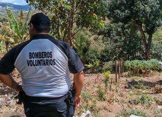 Durante la jornada de este fin de semana se registraron hechos armados y otros hechos violetos en los que fallecieron al menos 14 personas.