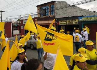 La Corte Suprema de Justicia amparó a personeros del Partido de Avanzada Nacional (PAN), con el cual frenan la cancelación definitiva de la agrupación. Foto La Hora: FB/PAN