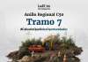 tramo 7 anillo regional
