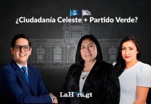 Partido Verde y Ciudadanía Celeste