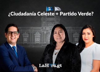 Partido Verde y Ciudadanía Celeste