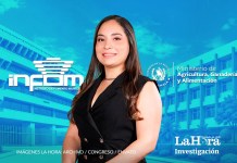 Ivanna Luján, diputada que llegó al Congreso con Semilla y que ahora enfrenta un segundo proceso laboral contra una institución del Estado, después de haber obtenido un pago de Q643 mil del MAGA.