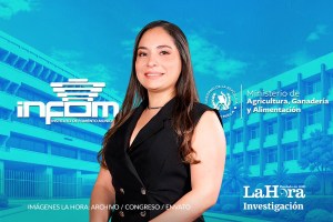 La diputada Ivanna Luján, ex Semilla y ahora de TODOS, que cobró más de medio millón tras demandar al MAGA y busca repetir en el Infom
