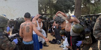 Requisa en Pavón realizada por el Ejército busca incautar armas ilícitas dentro del centro carcelario El Ejército de Guatemala realiza una requisa en Pavón con el objetivo de incautar armas utilizadas por reos y en crimenes.