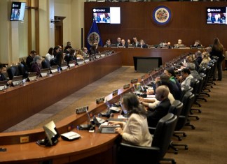 Integrantes de la OEA se pronuncian por Nicaragua