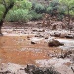Turistas fueron evacuados inmediatamente tras inundaciones repentinas en el Gran Canñón.