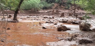 Turistas fueron evacuados inmediatamente tras inundaciones repentinas en el Gran Canñón.