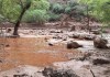 Más de 60 turistas son evacuados del Gran Cañón tras fuertes inundaciones repentinas Turistas fueron evacuados inmediatamente tras inundaciones repentinas en el Gran Canñón.