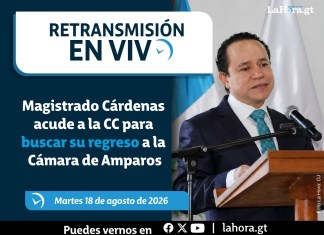 Audiencia en la CC por amparo del magistrado Estuardo Cárdenas