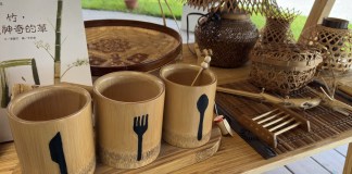 Bambú, una planta que puede convertirse en muebles, juguetes y hasta casas.