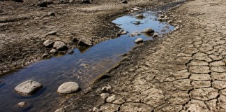 Insivumeh reporta un déficit generalizado de lluvia en el país, y prevén que el fenómeno de El Niño se extienda hasta los primeros meses de 2027. Imagen La Hora: Alejandro Ramírez.