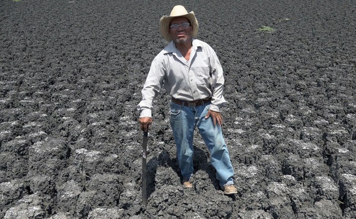 Uno de los sectores más expuestos es la agricultura, que consume alrededor del 76 % del agua utilizada en México y que, según ambos especialistas, requiere una mayor tecnificación para reducir su vulnerabilidad. Foto La Hora: EFE