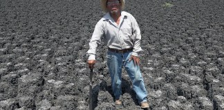 Uno de los sectores más expuestos es la agricultura, que consume alrededor del 76 % del agua utilizada en México y que, según ambos especialistas, requiere una mayor tecnificación para reducir su vulnerabilidad. Foto La Hora: EFE