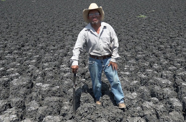 Uno de los sectores más expuestos es la agricultura, que consume alrededor del 76 % del agua utilizada en México y que, según ambos especialistas, requiere una mayor tecnificación para reducir su vulnerabilidad. Foto La Hora: EFE