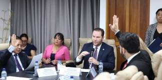 Los diputados de la comisión de Reformas al Sector Justicia votan por el dictamen a la iniciativa de ley para la doctrina legal en el Código Procesal Penal. Foto: Congreso de la República