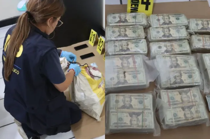 dolares incautados Dólares incautados en Chisec, Alta Verapaz.