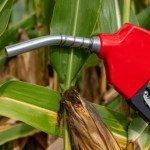 El E10 comenzará a venderse en Guatemala el próximo 22 de agosto.