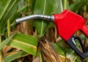 El E10 comenzará a venderse en Guatemala el próximo 22 de agosto.