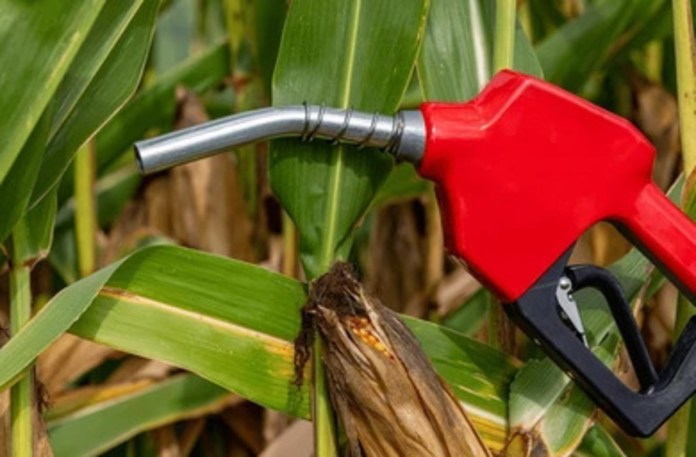 ethanol El E10 comenzará a venderse en Guatemala el próximo 22 de agosto.