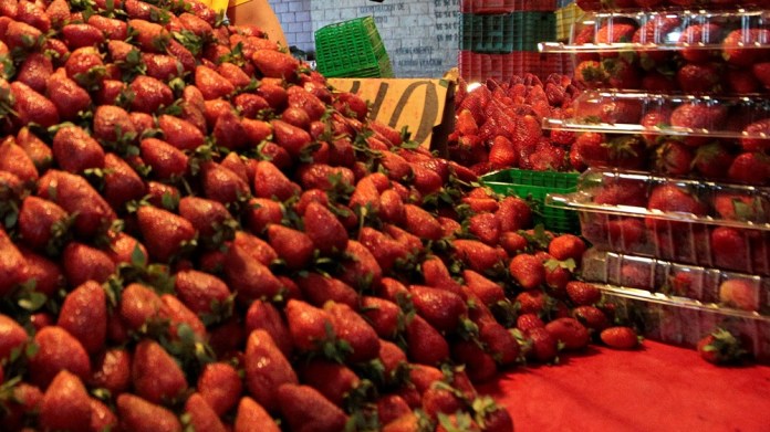 Estados Unidos acuso de "dumping" (vender por debajo del precio de costo o de mercado) a las fresas frescas de invierno mexicanas. Foto La Hora: EFE