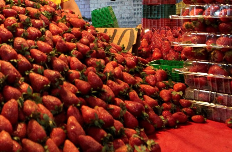 CNA de México denuncia acusaciones de «dumping» contra fresas mexicanas como violación al T-MEC Estados Unidos acuso de "dumping" (vender por debajo del precio de costo o de mercado) a las fresas frescas de invierno mexicanas. Foto La Hora: EFE