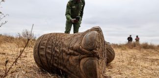 ¿Veneno o enfermedad? Una polémica envuelve la misteriosa muerte de 18 elefantes en Kenia elefantes